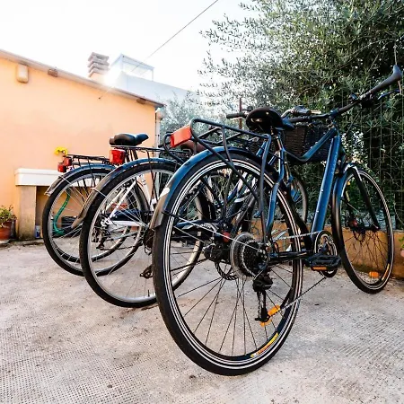 Casa Mafalda - Rooms, Friends And - Affittacamere,
